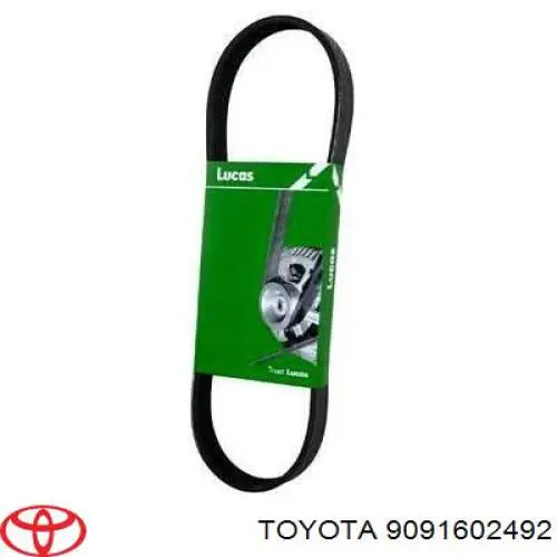 9091602492 Toyota correa trapezoidal