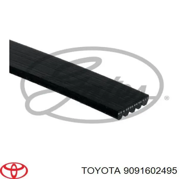 9091602495 Toyota correa trapezoidal
