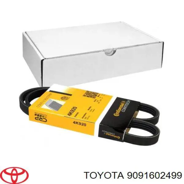 Correa de alternador 9091602499 Toyota