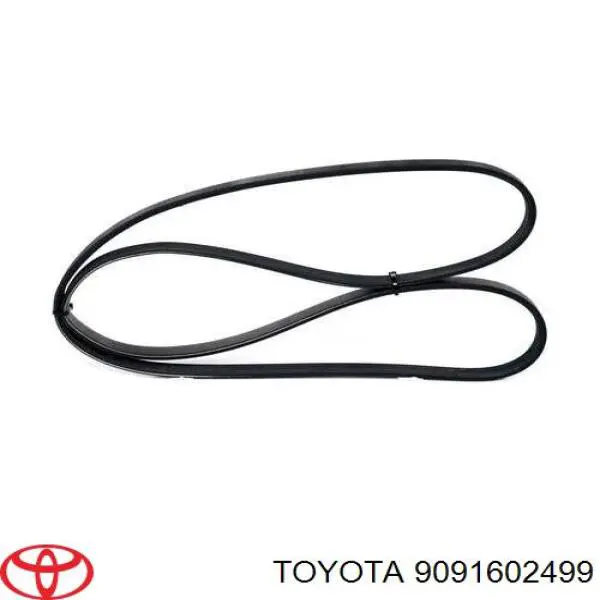 Correa de alternador 6C1Q6C301AC Ford