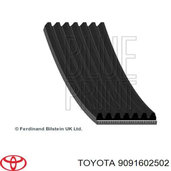 Correa de alternador 9091602502 Toyota