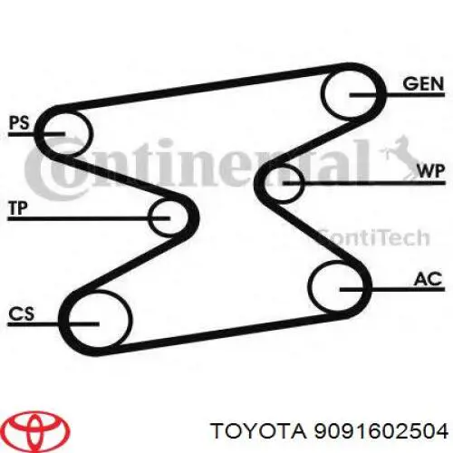 9091602504 Toyota correa trapezoidal