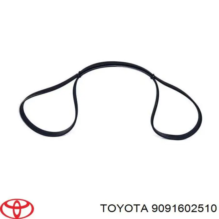 9091602510 Toyota correa trapezoidal