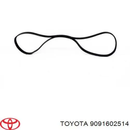 9091602514 Toyota correa trapezoidal