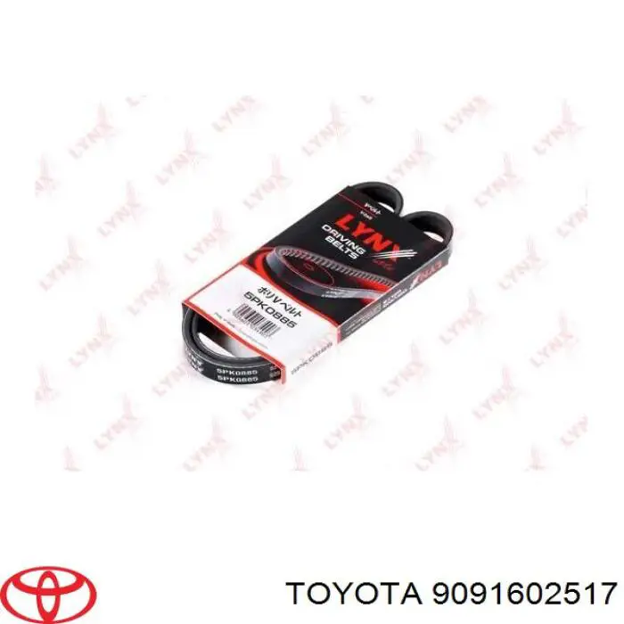 9091602517 Toyota correa trapezoidal
