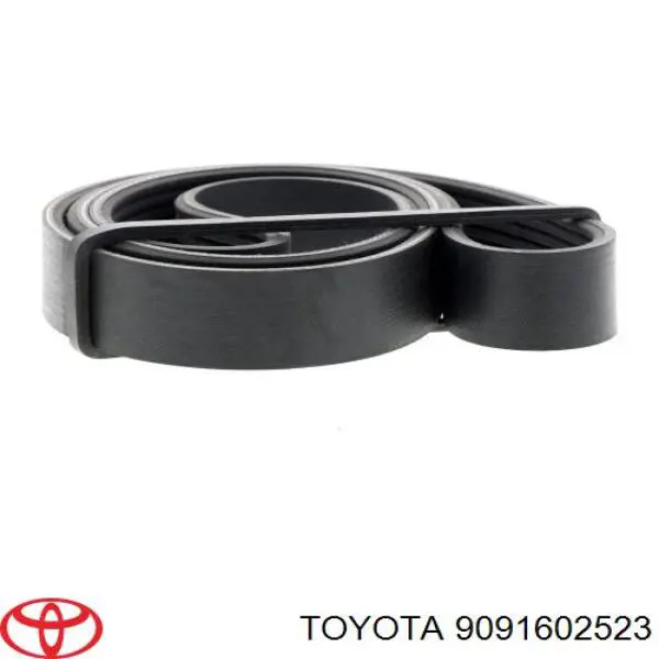Correa de alternador 9091602523 Toyota