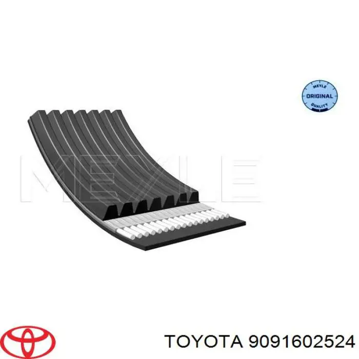Correa de transmisión trapezoidal Toyota 9091602524 precio, desde 18,03 EUR