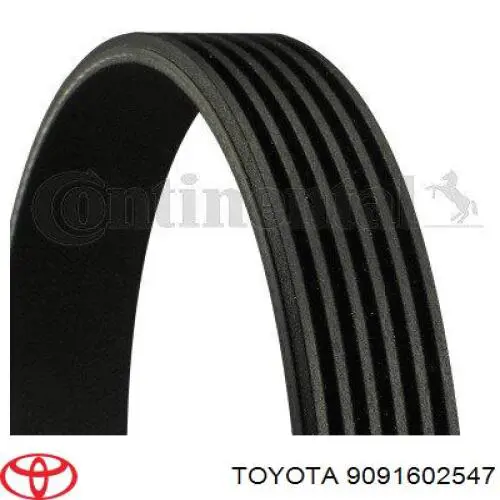 Comprar 9091602547 Toyota Correa trapezoidal