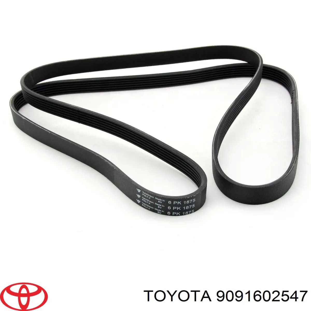 Correa de alternador 9091602547 Toyota