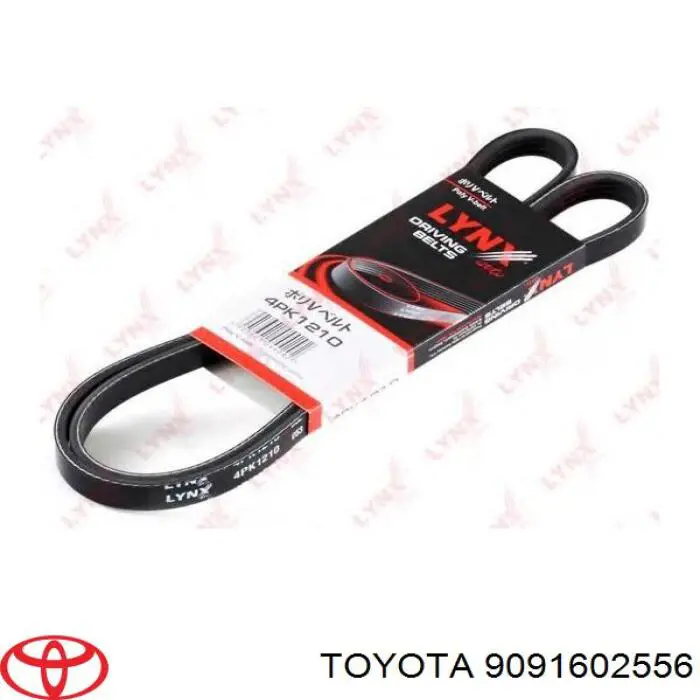 9091602556 Toyota correa trapezoidal