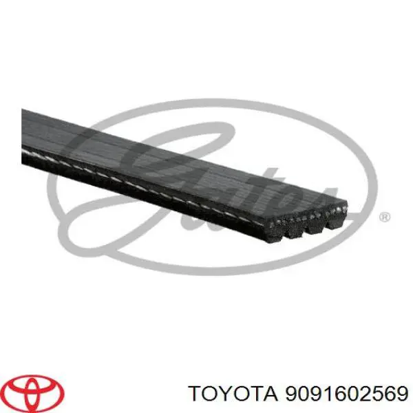 Correa de alternador 90916W2032 Toyota