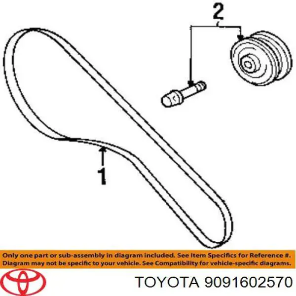 Comprar 9091602570 Toyota Correa trapezoidal
