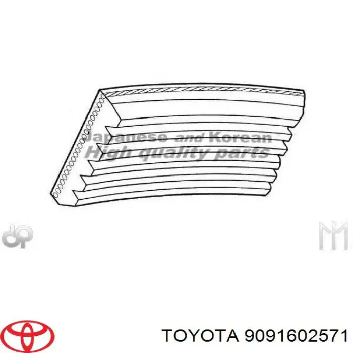 99367A2120 Toyota Correa poly v