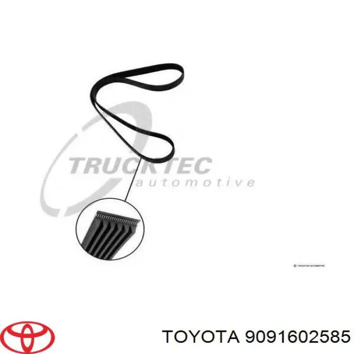 Correa de alternador 9091602585 Toyota