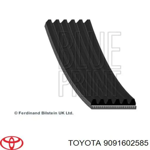 Correa accesorios Toyota 9091602585