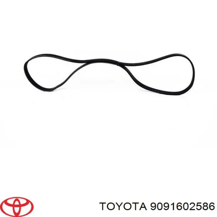 9091602586 Toyota correa trapezoidal