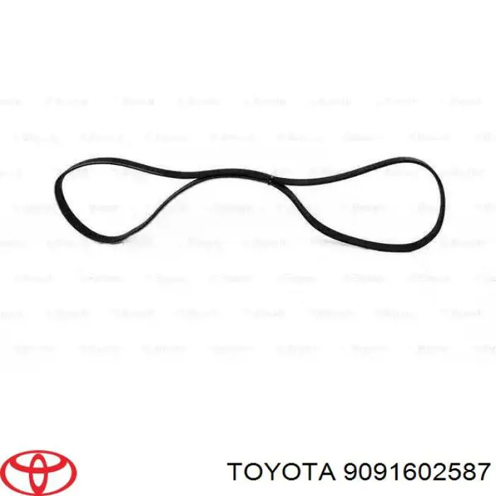 Correa trapezoidal para Toyota Sequoia 