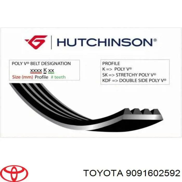 Correa de alternador 0119978092 Ssang Yong