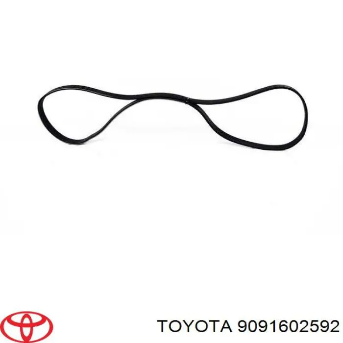 Correa de transmisión trapezoidal Ssang Yong 0119978092 precio, desde 16,43 EUR