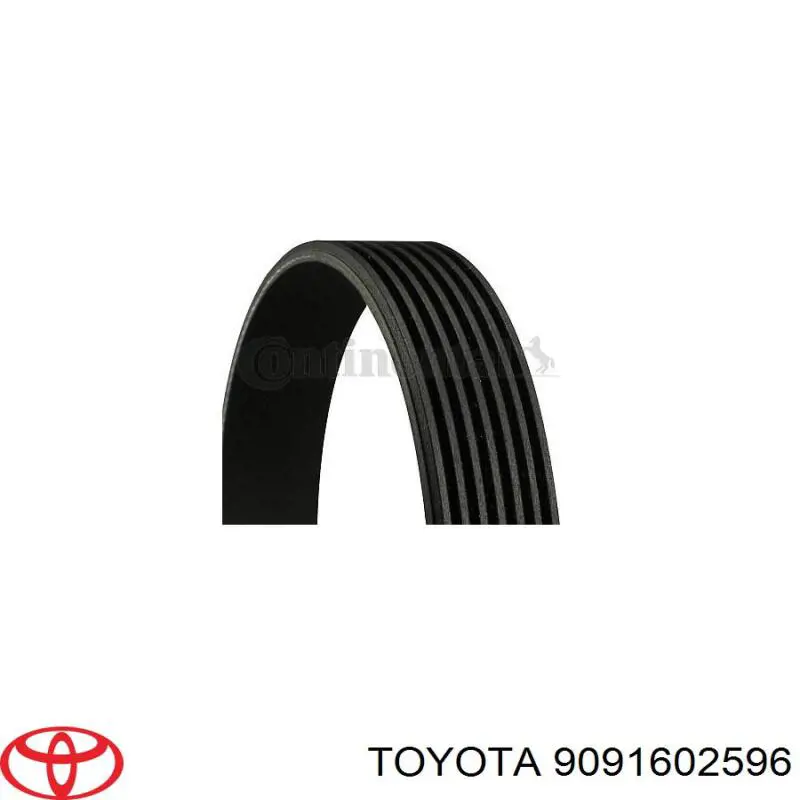Comprar 9091602596 Toyota Correa trapezoidal