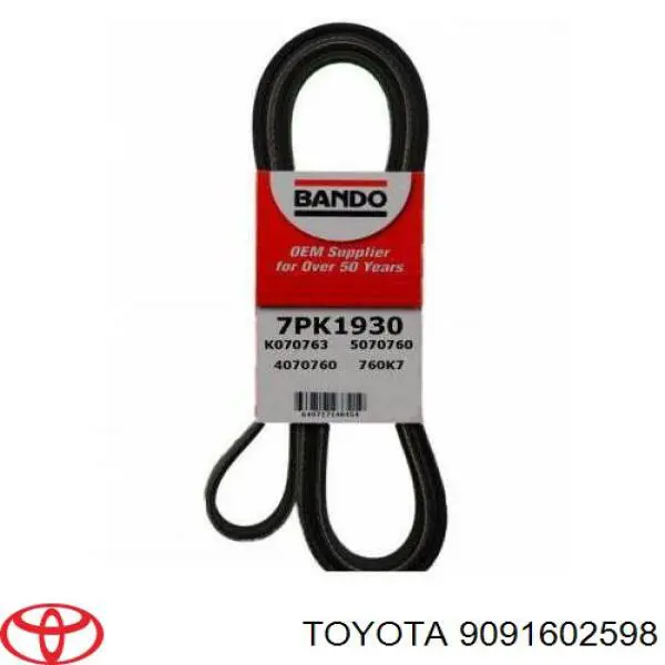 Comprar 9091602598 Toyota Correa trapezoidal
