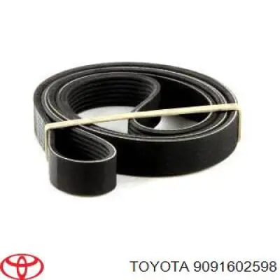 Correa de alternador 9091602598 Toyota