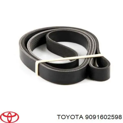 Correa accesorios Toyota 9091602598