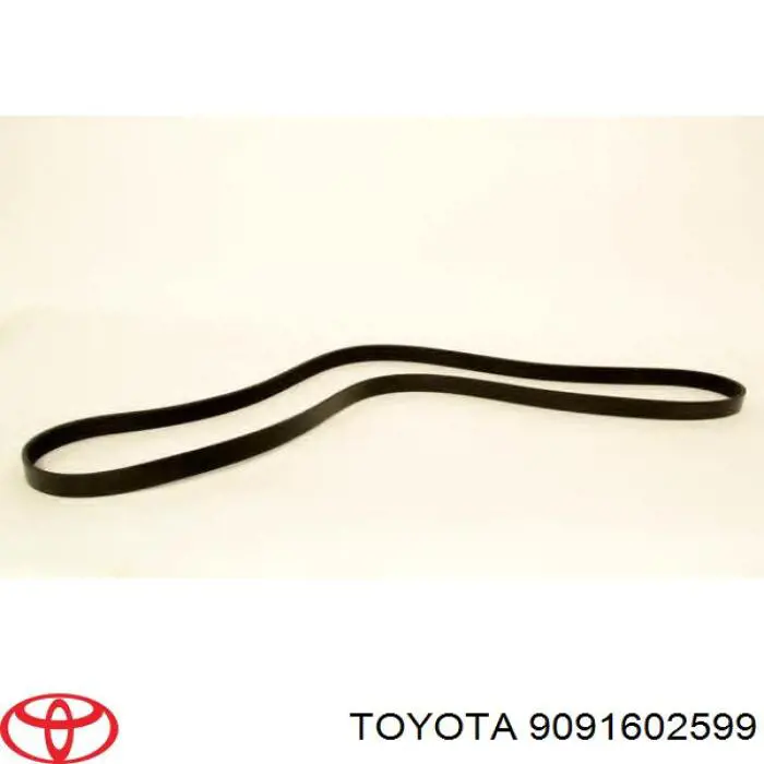 Correa de alternador 9091602599 Toyota