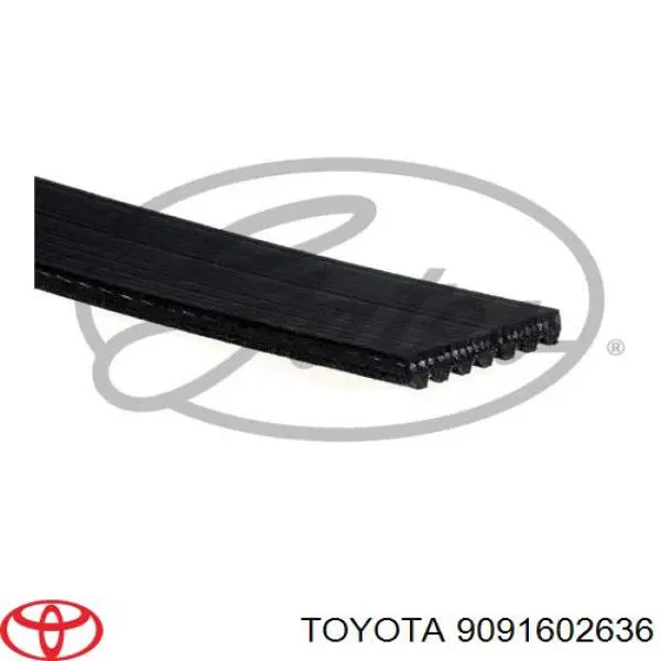 90916T2024 Toyota correa trapezoidal