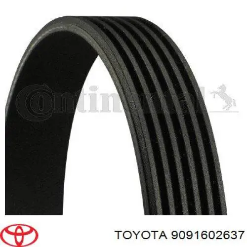 Comprar 9091602637 Toyota Correa trapezoidal