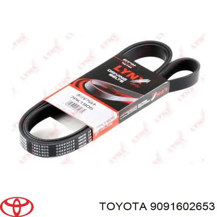 9091602653 Toyota correa trapezoidal