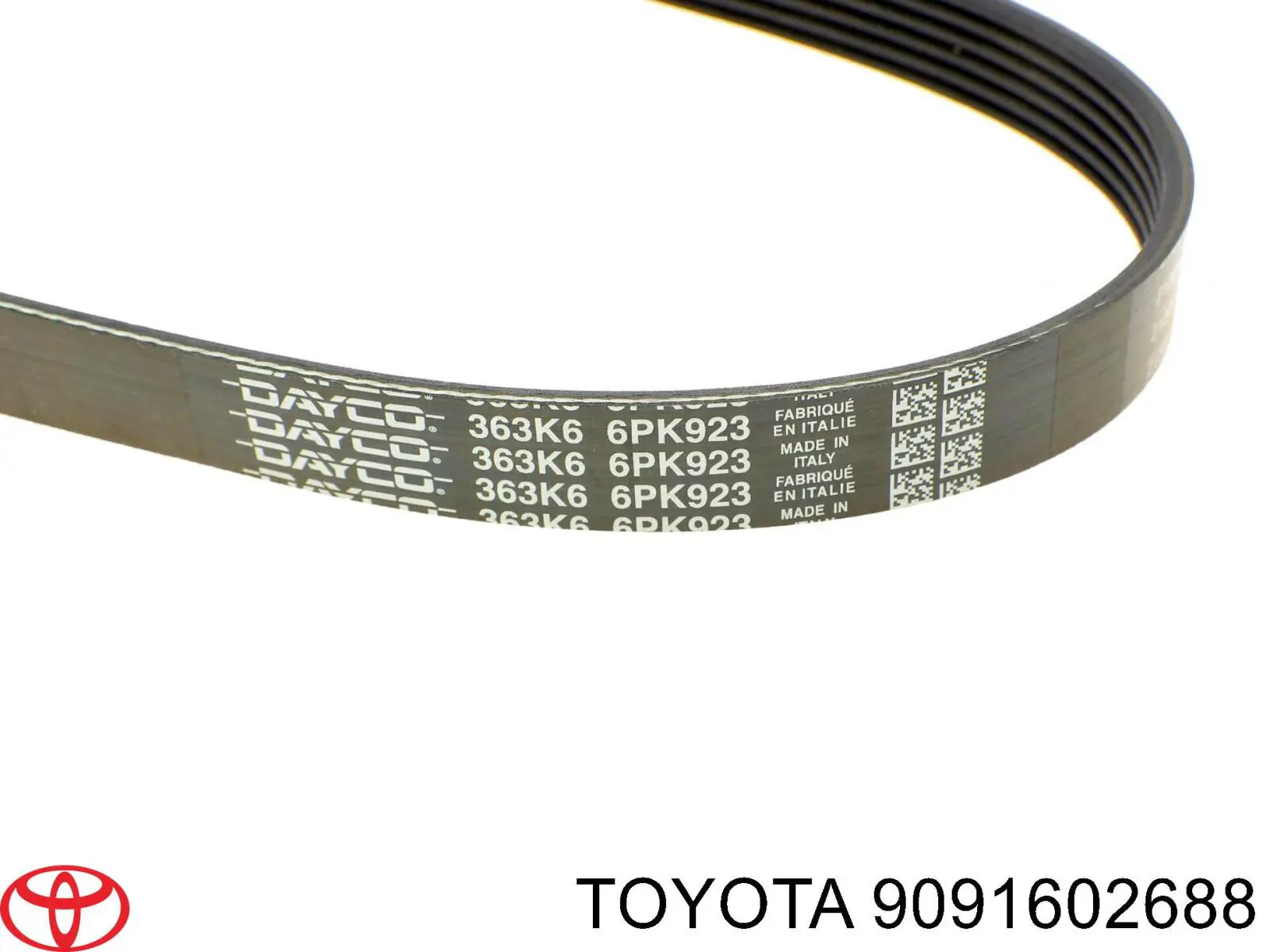 6PK926EXTRA Continental/Siemens Correa poly v