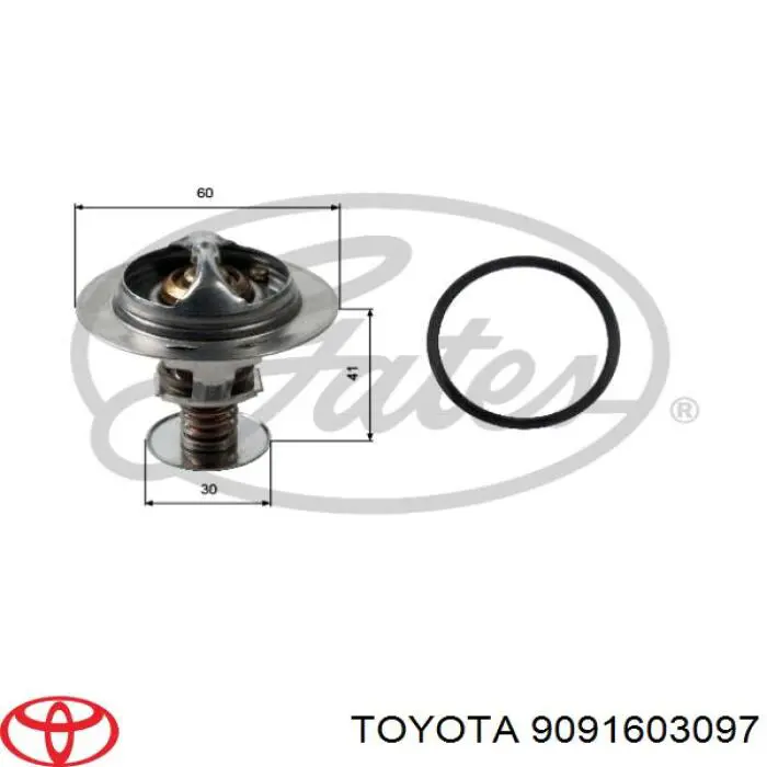 9091603097 Toyota termostato
