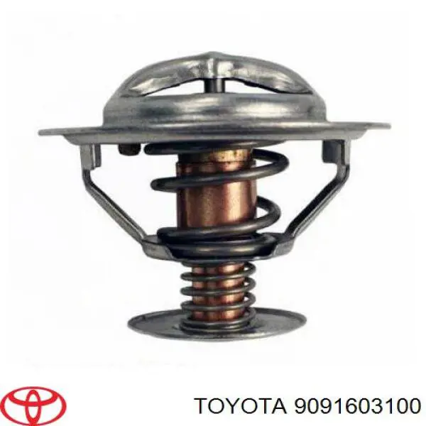 9091603100 Toyota termostato