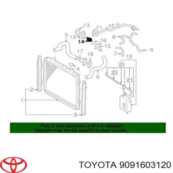 9091603120 Toyota termostato