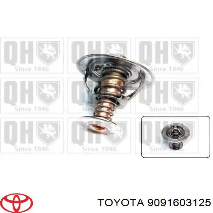 Termostato, refrigerante Nissan Sunny 3 N14
