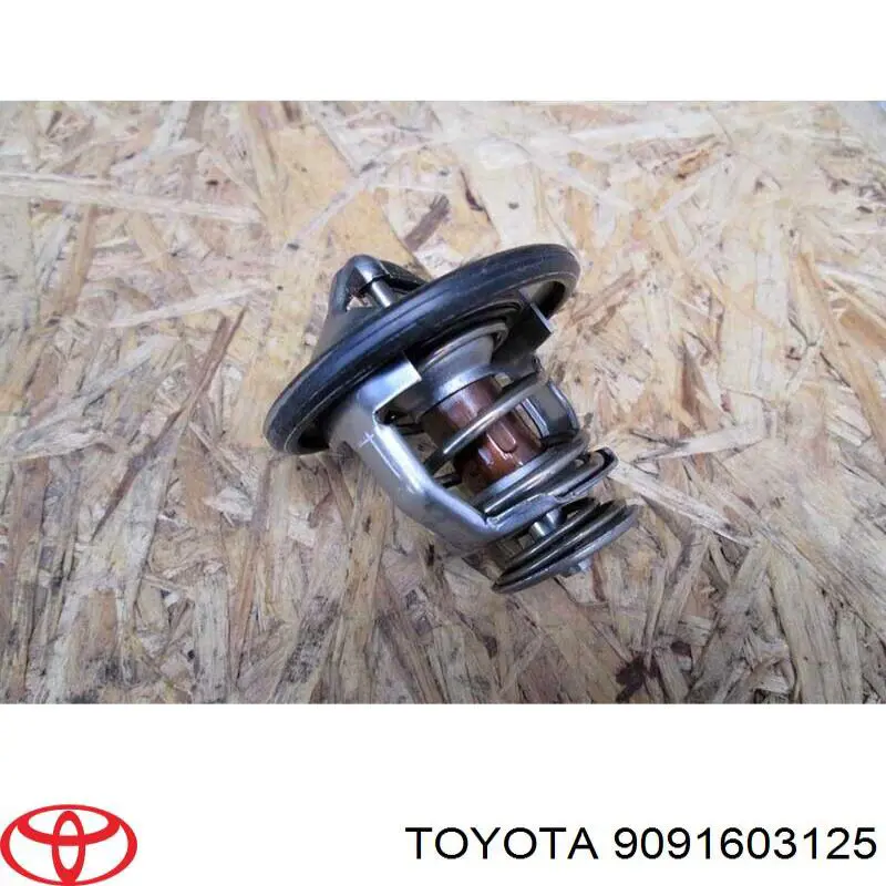 Termostato, refrigerante Nissan Sunny 3 N14