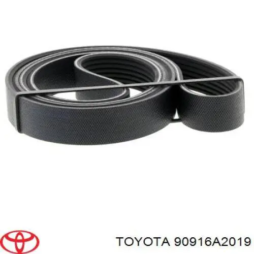 Comprar 170679 Febi Correa trapezoidal