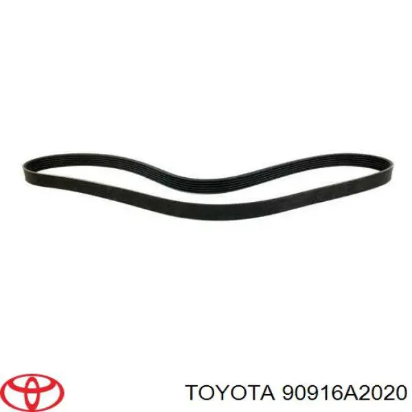 Correa de alternador 90916A2020 Toyota