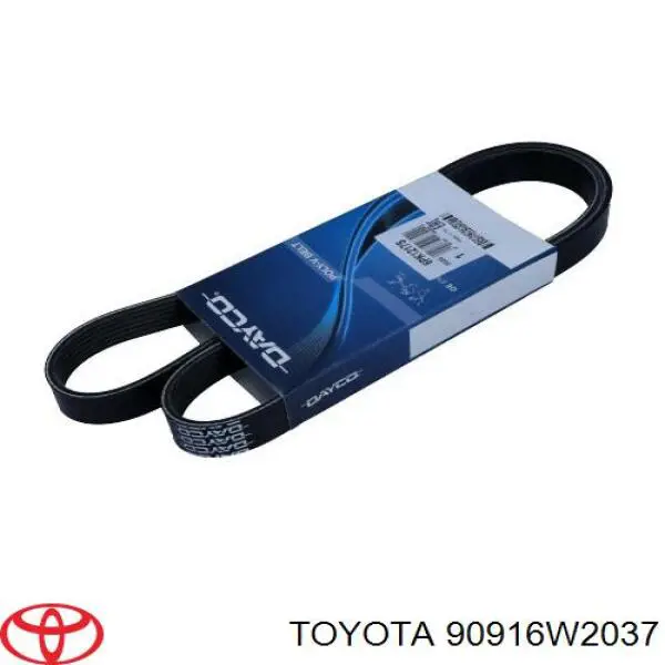 Correa accesorios Toyota 90916W2037