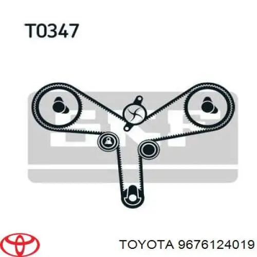 Junta, bomba de agua Toyota Carina E (T19)