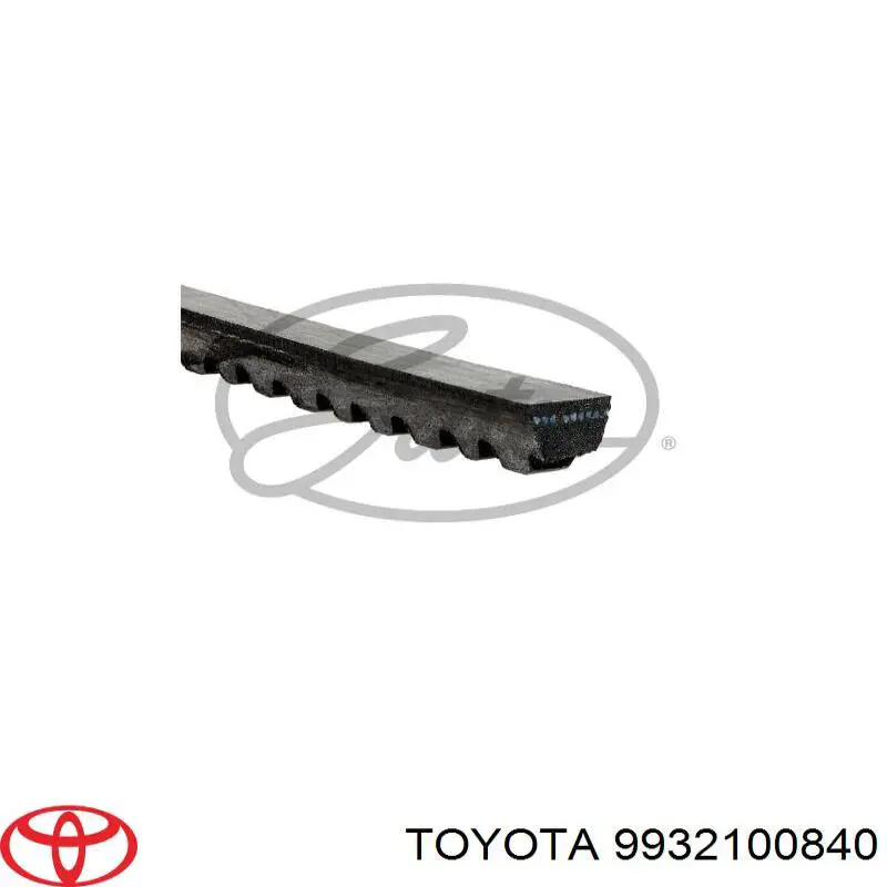 Correa de alternador 5003411 Ford
