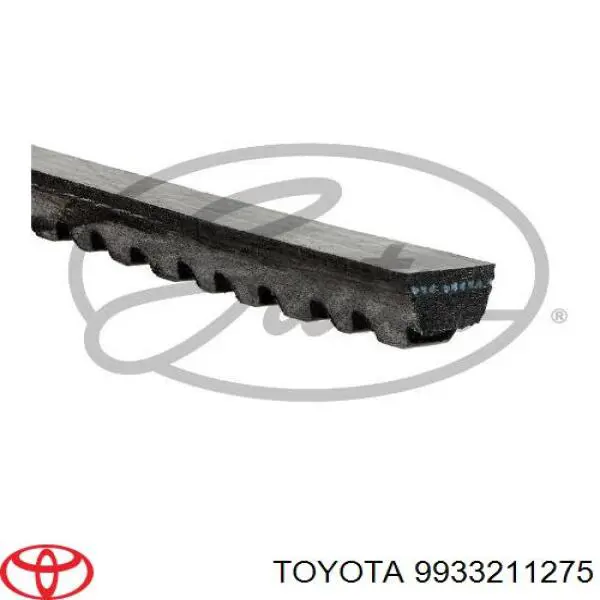 9933211275 Toyota correa trapezoidal