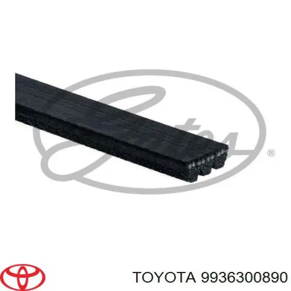 Correa accesorios Fiat/Alfa/Lancia 55211240
