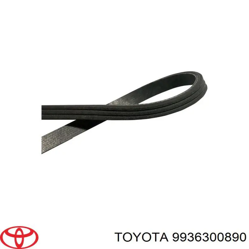 55211240 Fiat/Alfa/Lancia Correa poly v