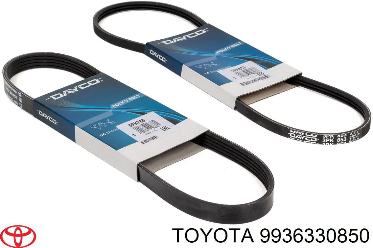 Correa de alternador 9936330850 Toyota
