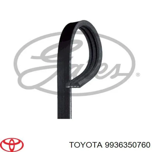 9936350760 Toyota correa trapezoidal