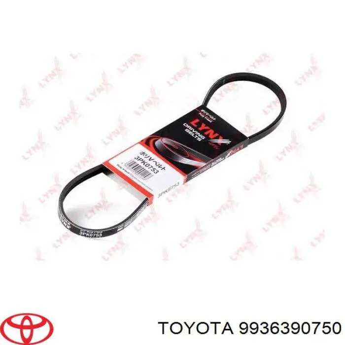 9936390750 Toyota correa trapezoidal