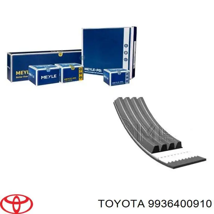 Correa trapezoidal Subaru Forester 1 S10, SF