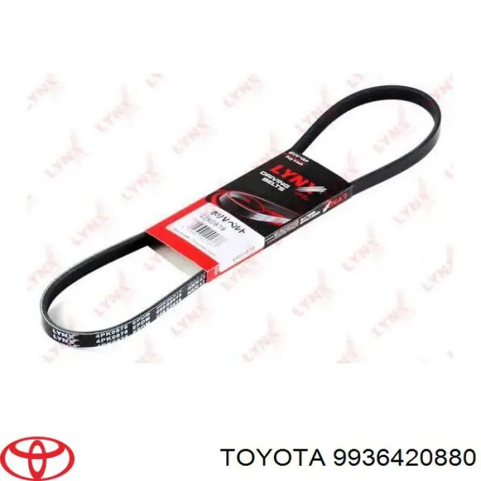 9936420880 Toyota correa trapezoidal